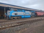 RUMO 9858